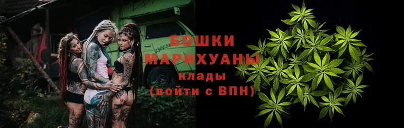 kraken онион  Юрьев-Польский  Шишки марихуана White Widow 